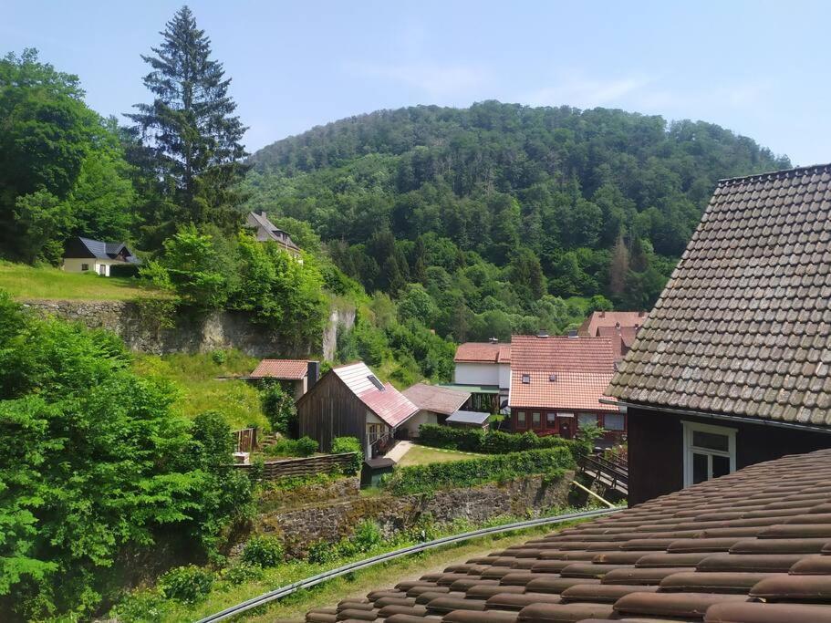 Haus Am Wald Zorge 16+ Gaeste Walkenried Eksteriør billede