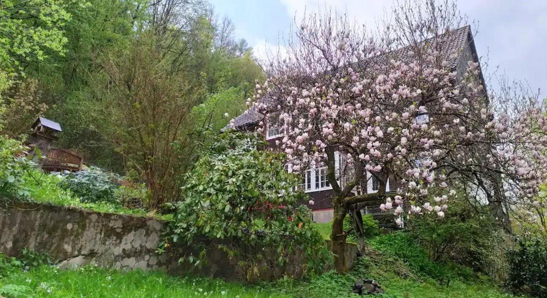 Haus Am Wald Zorge 16+ Gaeste Walkenried Eksteriør billede