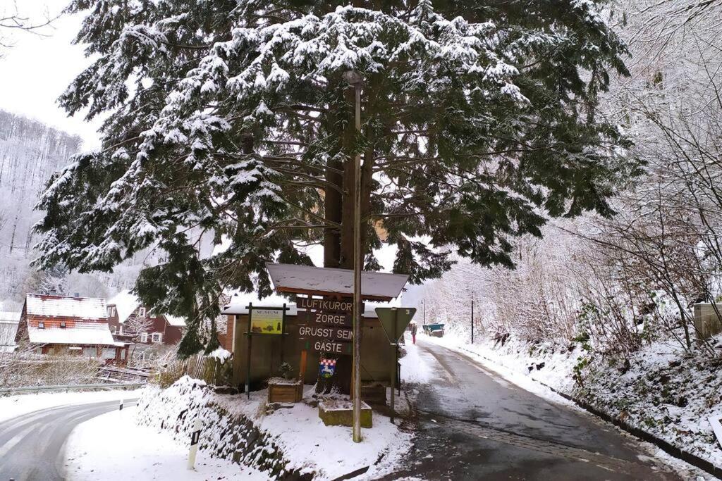 Haus Am Wald Zorge 16+ Gaeste Walkenried Eksteriør billede