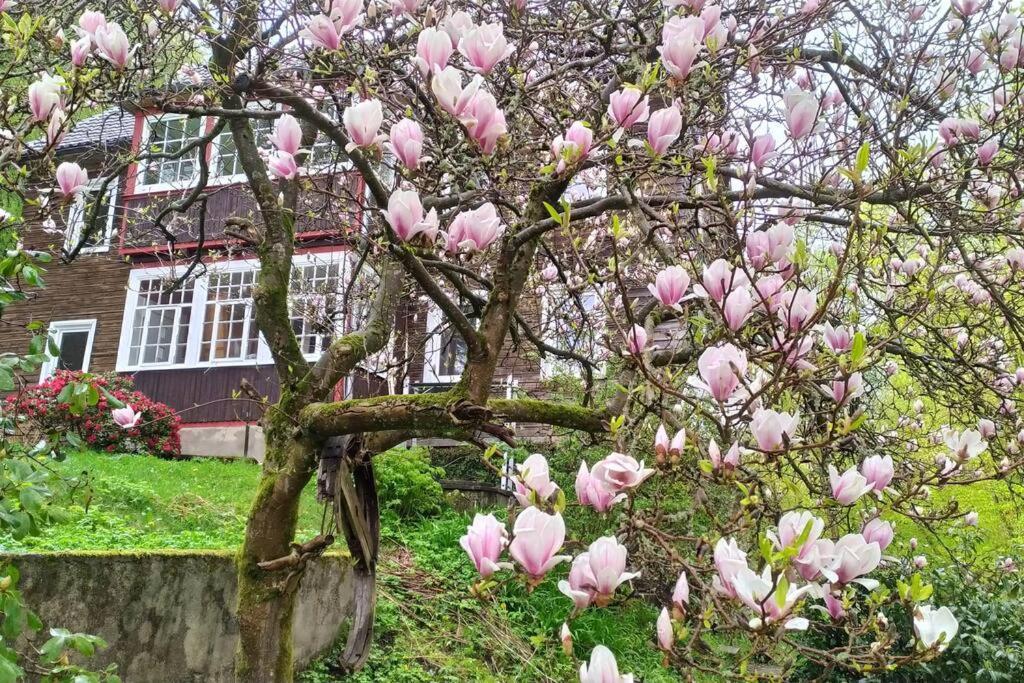 Haus Am Wald Zorge 16+ Gaeste Walkenried Eksteriør billede