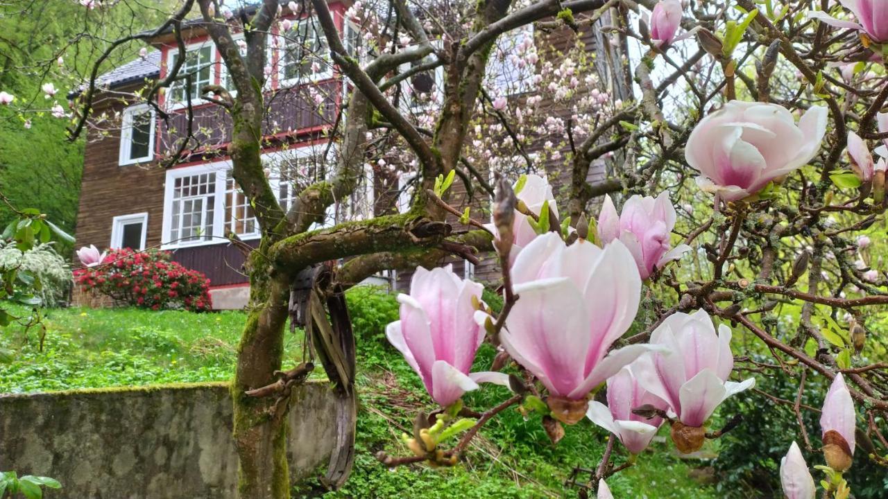 Haus Am Wald Zorge 16+ Gaeste Walkenried Eksteriør billede